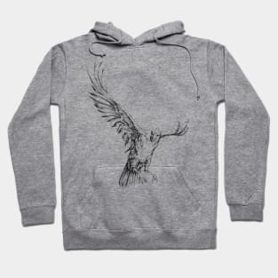 Crow Hoodie